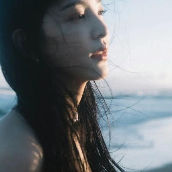 洞察力 封面